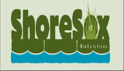 shoresox